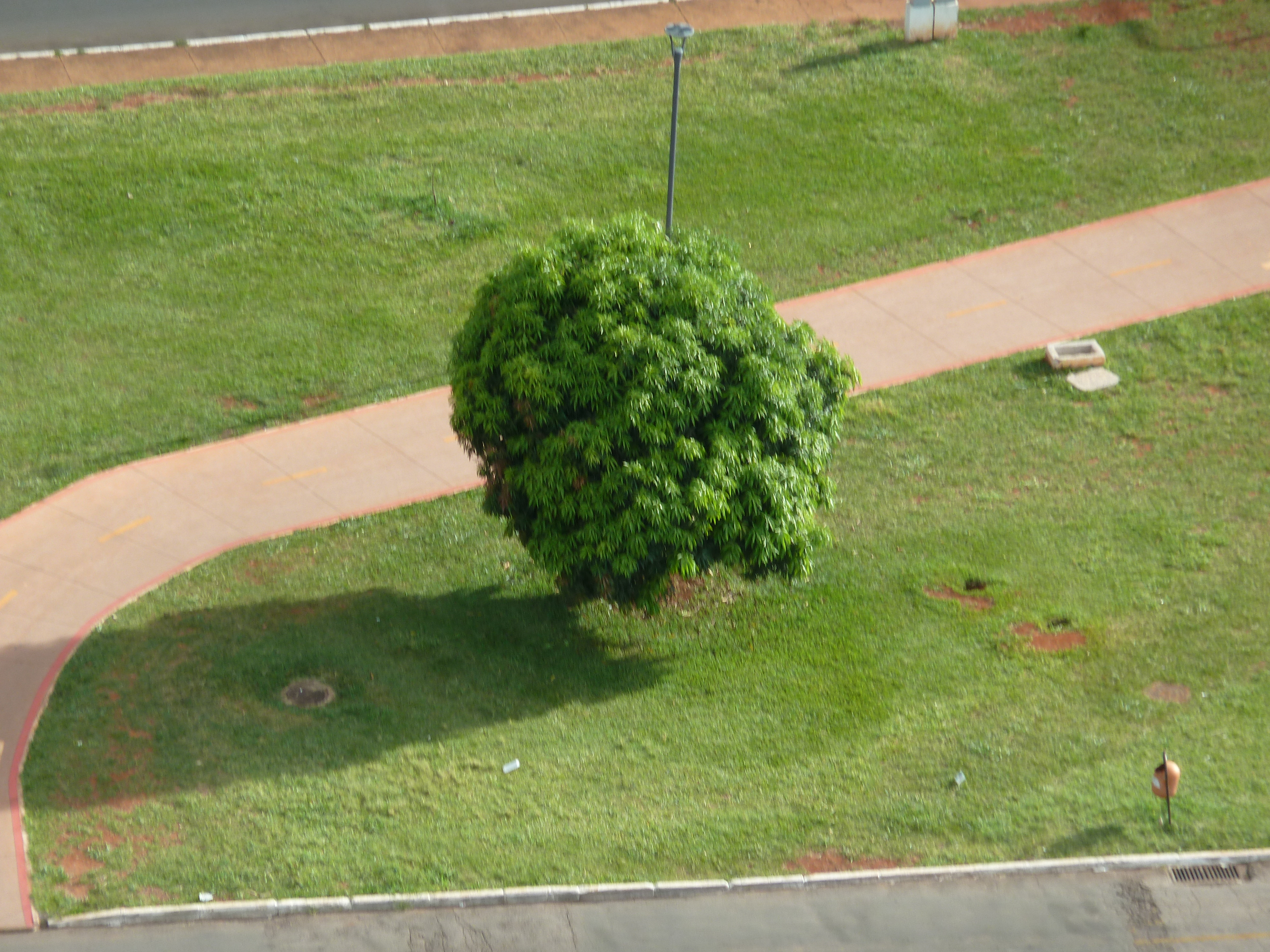 O que fazer em Brasília