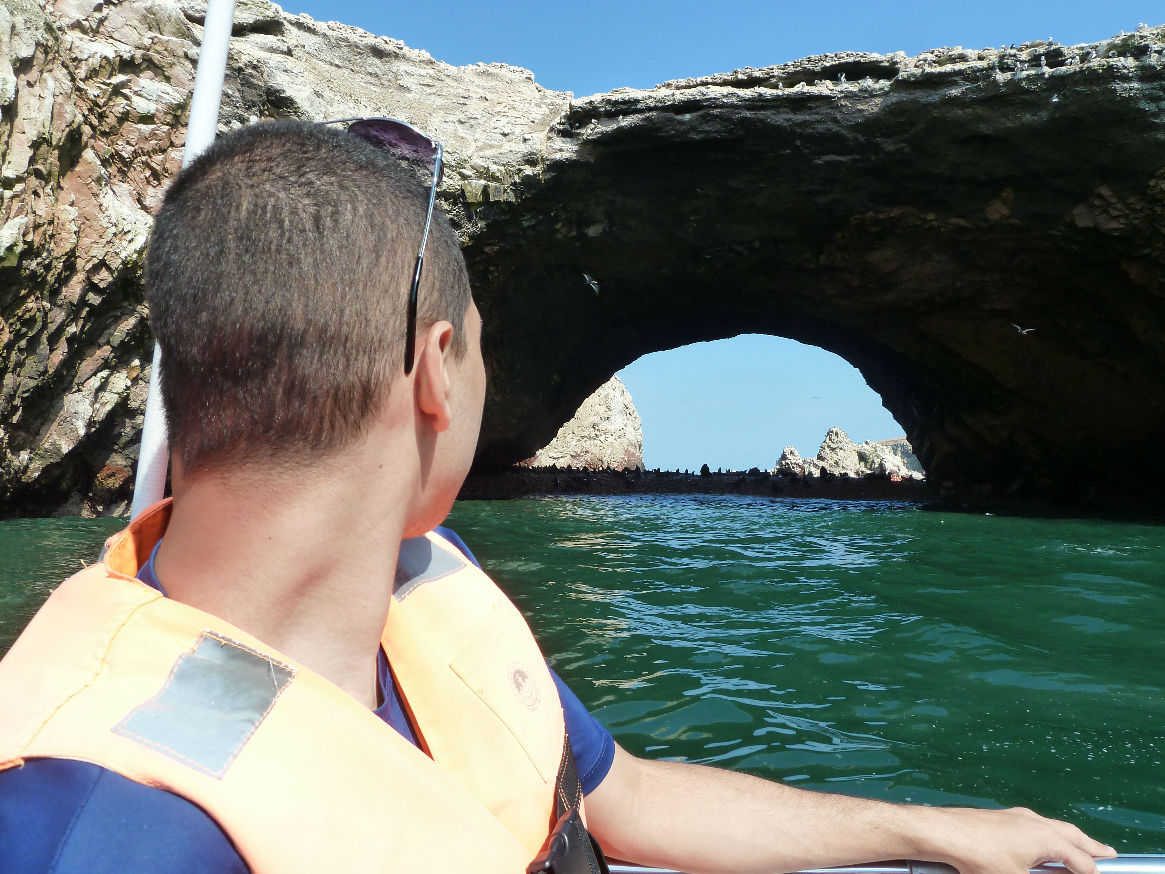 vendo lobo marinho nas islas ballestas