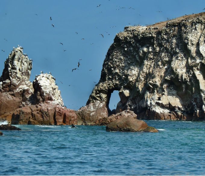 islas-ballestas-8