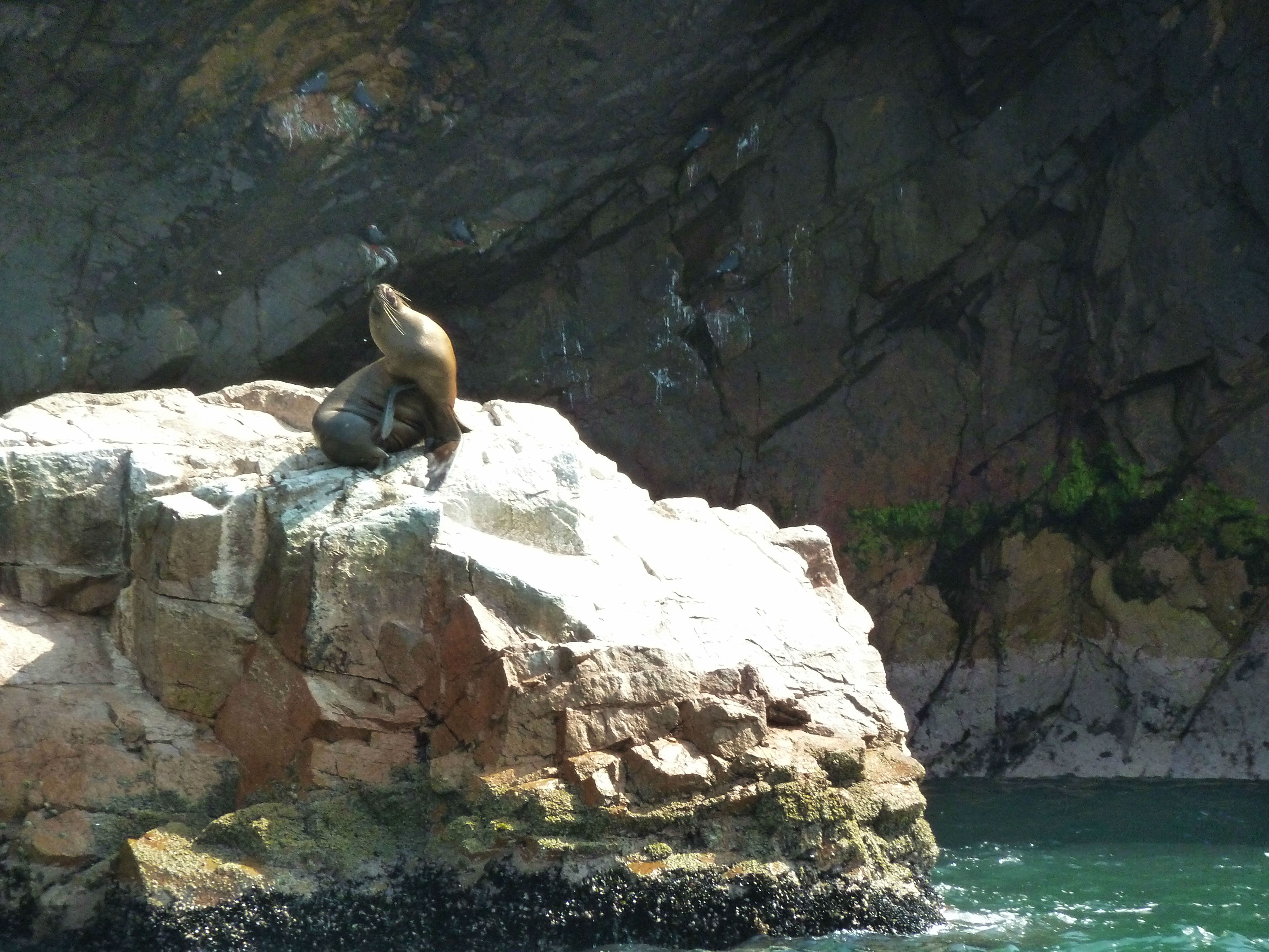 como chegar nas islas ballestas