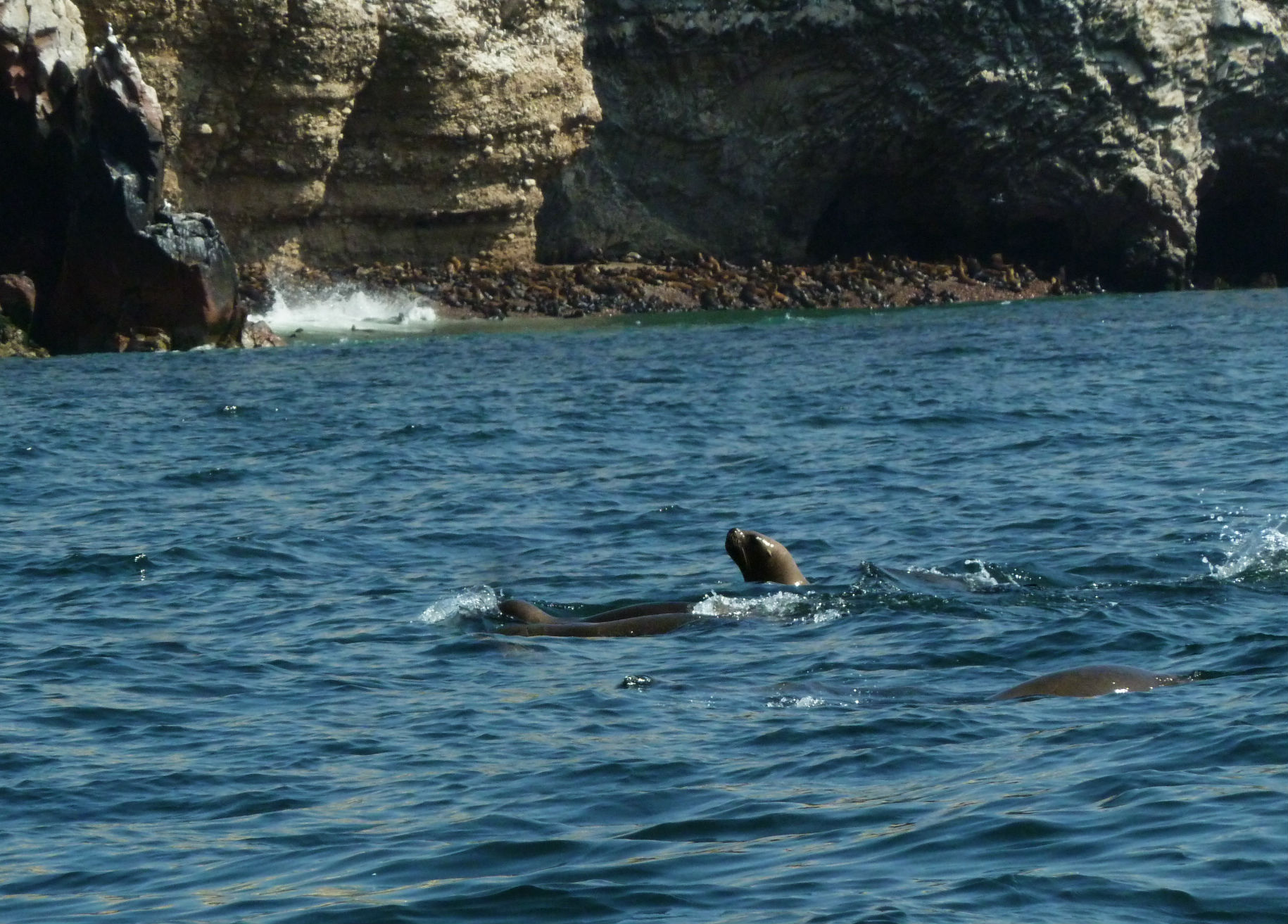 ilhas-ballestas-12