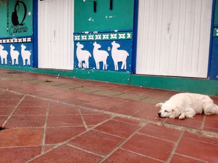 o que fazer em Guatapé?