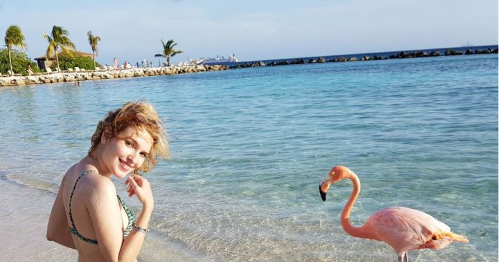 flamingo beach renaissance island do renaissance casino e resort dicas de aruba