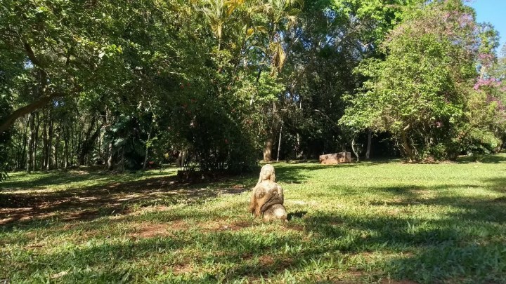 Caminho do Salto Monday no Paraguai (um bate e volta lindo de Ciudad del Este)
