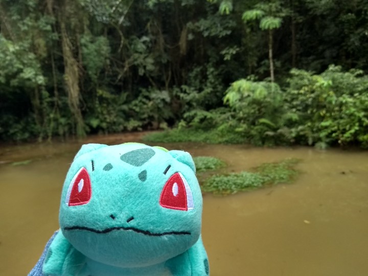 bulbassauro no bosque alemao o que fazer em curitiba.jpg
