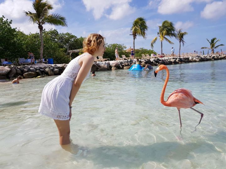 renaissance island e flamingo beach como ir e quanto custa.jpg