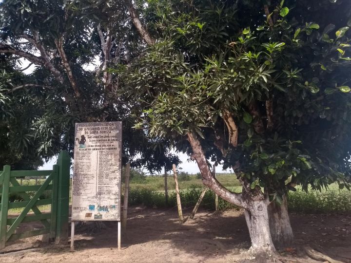 informações do santuario santa terezinha atalaia AL.jpg